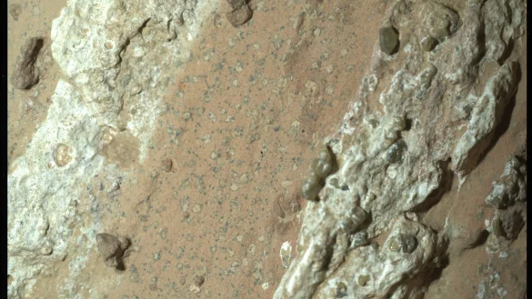 Eine vom Nasa-Rover &laquo;Perseverance&raquo; im vergangenen Jahr auf dem Mars entnommene Gesteinsprobe k&ouml;nnte nach Angaben der US-Raumfahrtbeh&ouml;rde m&ouml;glicherweise Spuren von fr&uuml;herem mikrobiellen Leben enthalten. - &copy; ---/NASA/JPL-Caltech/MSSS/dpa