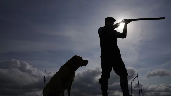 Bei der Moorhuhnjagd wird immer noch vor allem bleihaltige Munition eingesetzt. (Symbolfoto) - © Owen Humphreys/PA Wire/dpa