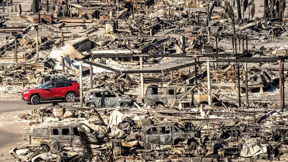Die Aufbauarbeiten nach den Flächenbränden im Januar werden lange dauern. (Archivbild) - © Noah Berger/AP/dpa