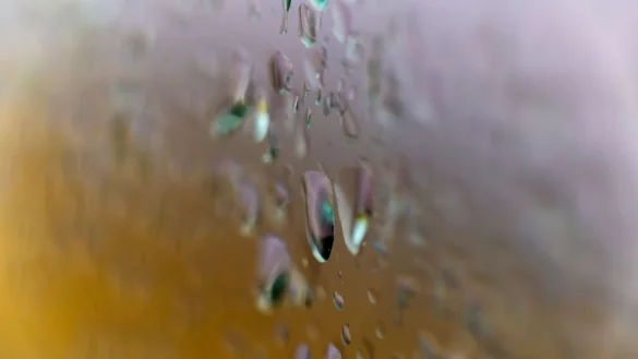 Nach unwetterartigen Regenschauern beruhigt sich das Wetter zum Wochenende. Die Temperaturen steigen über 20 Grad, in den Nächten wird es teils frostig. (Symbolbild) - © Thomas Banneyer/dpa