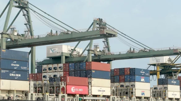 Container werden in Vietnam auf ein Schiff verladen. (Archivbild) - &copy; Hau Dinh/AP/dpa