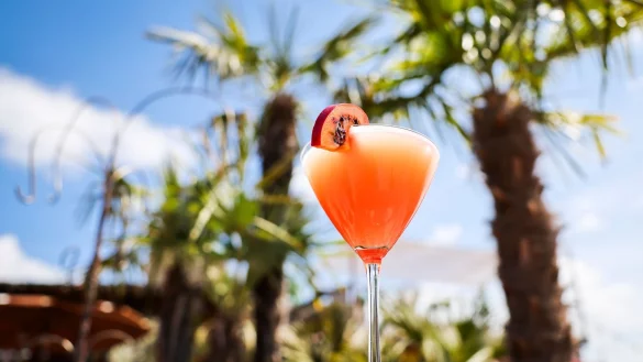 Ein Passionsfrucht Martini (auch Pornstar Martini oder Maverick Martini genannt) steht unter Palmen auf einem Tisch in einer Strandbar. - © Christian Charisius/dpa