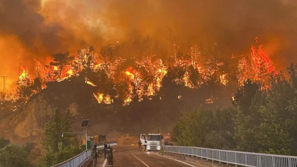 Ein Waldbrand w&uuml;tet in einem Waldgebiet in der N&auml;he des Dorfes Cavuslar im Bezirk Karabuk im Nordwesten der T&uuml;rkei - &copy; Ridvan Bostanci/IHA/dpa