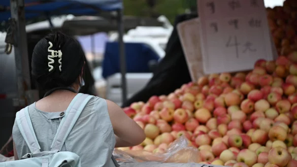 In China sanken die Verbraucherpreise im März wieder, besonders stark betroffen waren Lebensmittel. (Archivbild) - © Johannes Neudecker/dpa