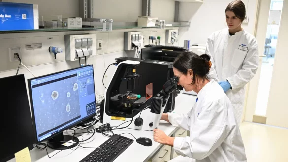 Unter dem Mikroskop ist zu sehen, wie ein Tumor auf ein Medikament reagiert. - © Bernd Weißbrod/dpa