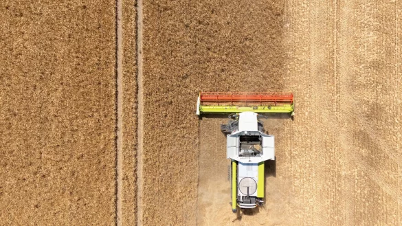 Mähdrescher rollen zur Ernte auf die ersten Äcker. (Archivbild) - © Sebastian Kahnert/dpa