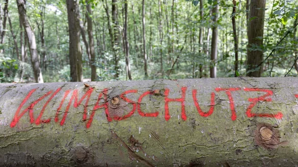 Die Studie basiert auf einer sozialwissenschaftlichen Langzeitbefragung in Deutschland. (Symbolbild) - &copy; Tim W&uuml;rz/dpa
