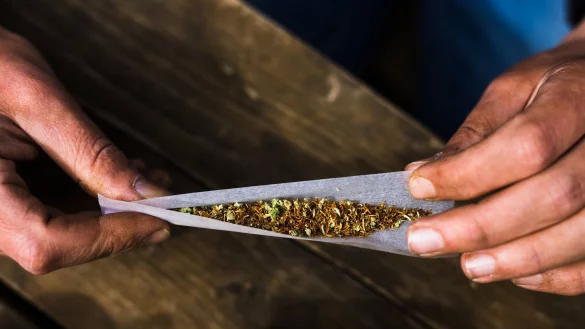 Cannabis ist in Deutschland seit 1. April 2024 für Erwachsene freigegeben (Symbolbild). - © Philipp von Ditfurth/dpa