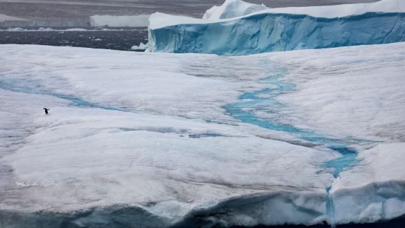 Ein Pinguin auf dem Eis des Weddellmeers in der Antarktis, dem gr&ouml;&szlig;ten der etwa 14 Randmeere des S&uuml;dlichen Ozeans. - &copy; John Weller/dpa