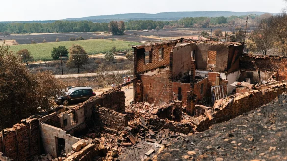 Die Brände in Spanien haben große Schäden angerichtet. - © Lorena Sopêna/EUROPA PRESS/dpa
