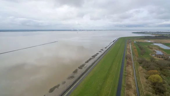 Das Bundesverwaltungsgericht entscheidet &uuml;ber Klage gegen zu viel Nitrat im Grundwasser (Archivbild). - &copy; Sina Schuldt/dpa