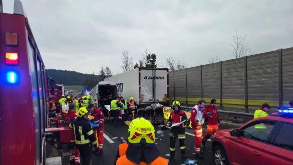 Der Kleinbus, in dem vier Menschen starben, war mit sieben Frauen und einem Mann besetzt. Alle stammen aus der Ukraine. - © Unbekannt/FF-PITTEN via APA/dpa