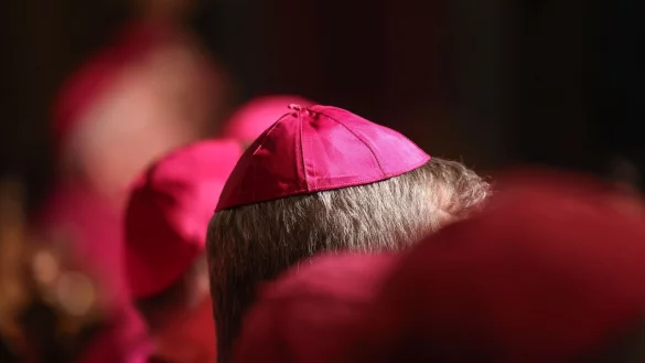 Die Versammlung der Deutschen Bischofskonferenz findet vor dem Hintergrund der schnell voranschreitenden Schrumpfung der Kirchen statt. (Archivbild) - © Oliver Berg/dpa
