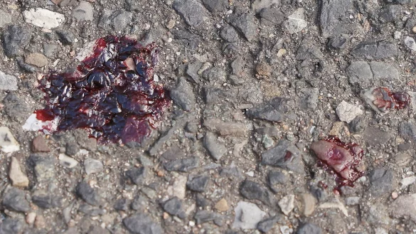 Der bei dem Messerangriff eines Elfjährigen verletzte 13-jährige Junge konnte das Krankenhaus wieder verlassen. - © David Young/dpa