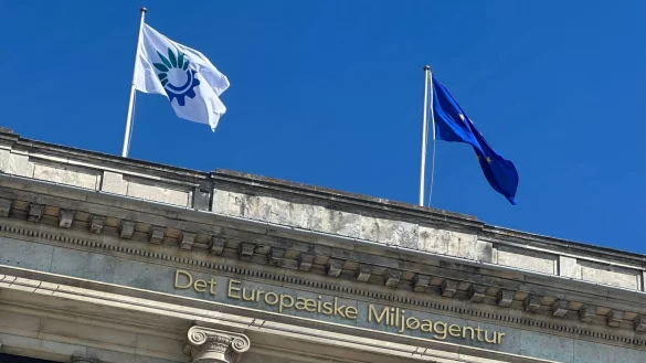 Die in Kopenhagen ansässige Europäische Umweltagentur hat für die Analyse Daten zu wetter- und klimabedingten Verlusten und Todesfällen ausgewertet. (Archivbild) - © Steffen Trumpf/dpa