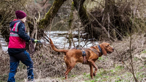 Auch an diesem Wochenende wird die Suche nach dem vermissten Pawlos fortgesetzt. - © Andreas Arnold/dpa