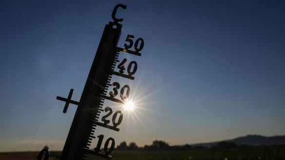 Im Laufe der Woche wird laut DWD nahezu bundesweit die 30-Grad-Marke geknackt. - © Thomas Warnack/dpa
