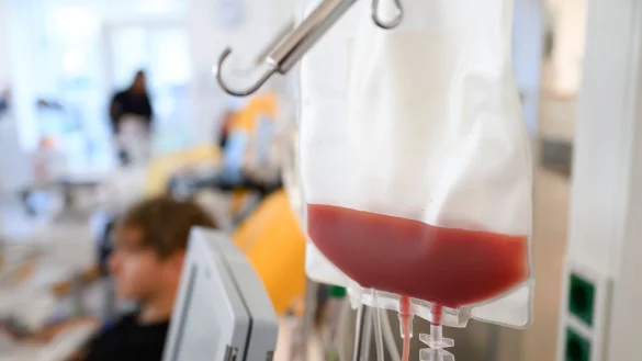 Immer mehr Menschen fallen altersbedingt aus der Knochenmarkspenderdatei raus. (Foto-Archiv) - © Robert Michael/dpa