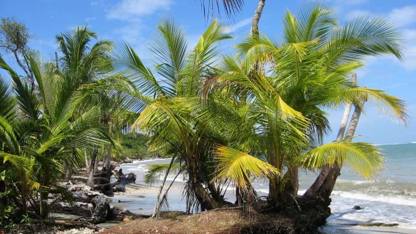 Der Fund zweier Leichen auf dem Grundst&uuml;ck eines deutschen Paares in Costa Rica gibt R&auml;tsel auf. (Archivbild) - &copy; picture alliance / dpa
