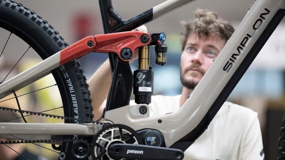 E-Bikes stehen im Zentrum der Messe Eurobike. - © Boris Roessler/dpa