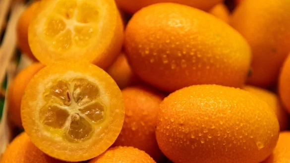 Kleine Frucht, großer Geschmack: Kumquats sind nur pflaumengroß, vereinen in sich aber süße und saure Aromen. - © Zacharie Scheurer/dpa-tmn