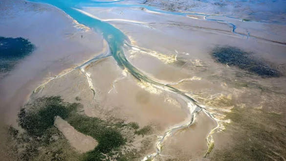 Ein Forschungsteam hat untersucht, wie sich das Wattenmeer verändert hat. (Archivfoto) - © Sina Schuldt/dpa