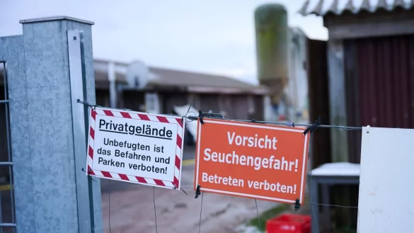 Schutzmaßnahmen sind angelaufen nach dem Ausbruch der Maul- und Klauenseuche. - © Annette Riedl/dpa