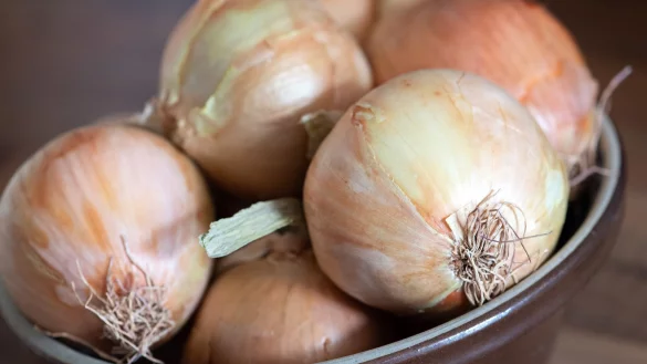Zwiebeln sind lecker - wenn nur die Heulerei beim Schneiden nicht w&auml;re! - &copy; Andrea Warnecke/dpa-tmn