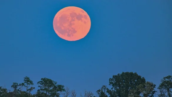 Blassroter Mond am Abendhimmel. (Archivbild) - © Patrick Pleul/dpa