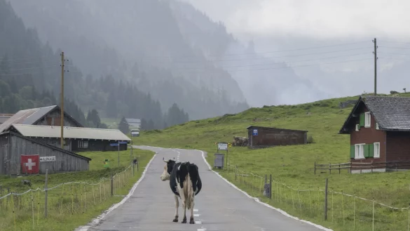 &laquo;Die Zahl der Deutschen mit Wohnsitz in der Schweiz steigt seit Jahren kontinuierlich&raquo;, berichtete die Statistikbeh&ouml;rde. Binnen zehn Jahren erh&ouml;hte sich die Zahl der Deutschen in der Schweiz um 10,7 Prozent. (Archivfoto) - &copy; Urs Flueeler/KEYSTONE/dpa