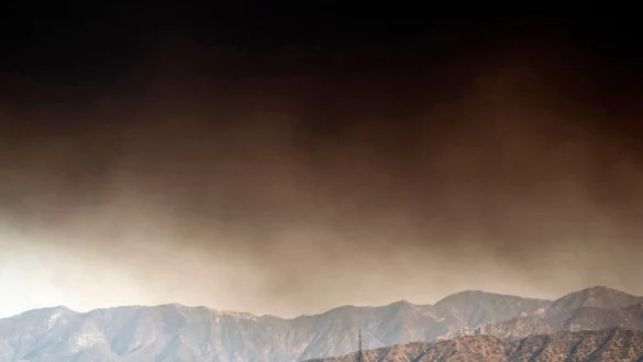 In Bibliotheken, Freizeitzentren und Altenheimen stehen nun Masken bereit. - &copy; Richard Vogel/AP/dpa