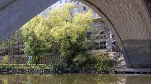 Der kleine Pawlos aus Mittelhessen ist tot. - © Helmut Fricke/dpa