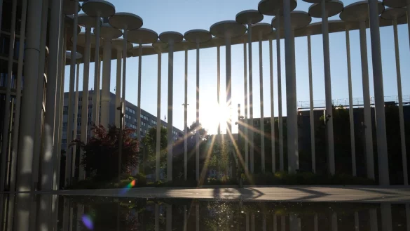 Blauer Himmel, Sonnenschein - am kommenden Wochenende wird dieses Bild vorherrschen. - © Sebastian Willnow/dpa