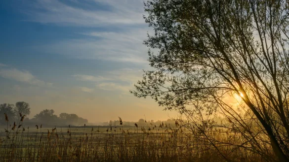 Nach einem sonnigen Start in den Ostersonntag droht es in Teilen Deutschlands, ungemütlich zu werden. - © Patrick Pleul/dpa