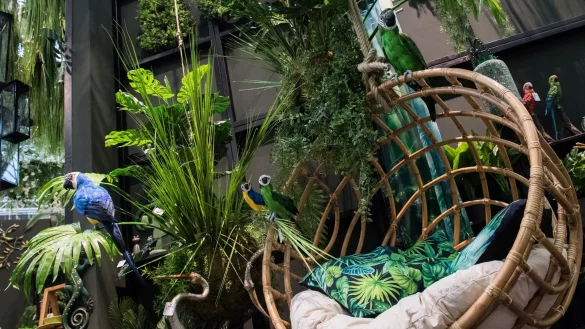 Dschungelfeeling pur: Hängende Pflanzen können jede noch so triste Wohnung in einen Urwald verwandeln. - © Franziska Gabbert/dpa-tmn
