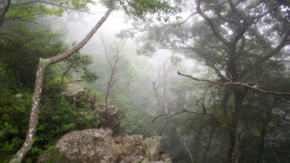 Trump: Nationalparkbesuch wird f&uuml;r ausl&auml;ndische Touristen teurer - &copy; Jim Lo Scalzo/dpa