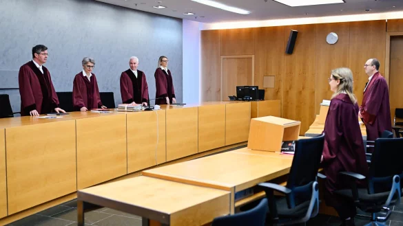 Der Fünfte Zivilsenat hat über eine Bambushecke in Hessen verhandelt. - © Uwe Anspach/dpa