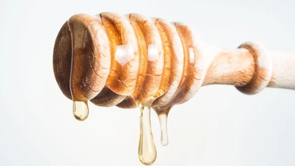 Geschmack, Qualit&auml;t, Preis: 24 Bl&uuml;tenhonige hat die &laquo;Stiftung Warentest&raquo; gepr&uuml;ft, 14 davon sind &laquo;gut&raquo;. - &copy; Franziska Gabbert/dpa-tmn