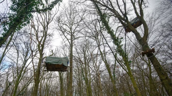 Im sogenannten Sündenwäldchen halten sich noch Aktivisten in selbstgebauten Baumhäusern auf. (Archivbild) - © Henning Kaiser/dpa
