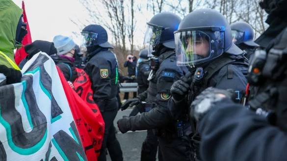 Der AfD-Bundesparteitag in Riesa wurde von gro&szlig;en Protesten begleitet (Archivbild). - &copy; Jan Woitas/dpa