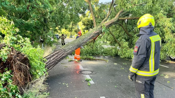 Am späten Nachmittag und Abend ziehen Unwetter über Teile Deutschlands. - © Jens Dudziak/dpa