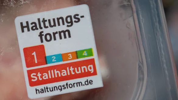 Die seit 2019 bestehende freiwillige «Haltungsform»-Kennzeichnung der Supermarktketten gilt für Fleisch und verarbeitete Produkte von Schwein, Rind und Geflügel. - © Sebastian Gollnow/dpa