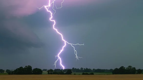 Am Mittwoch werden Gewitter in Deutschland erwartet. (Symbolbild) - © Patrick Pleul/dpa