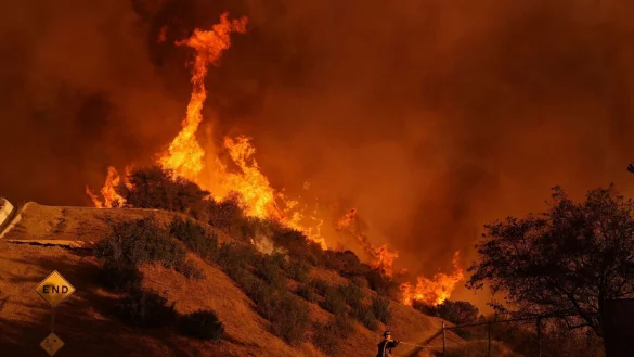 Seit dem 7. Januar 2025 wüten im Großraum Los Angeles eine Reihe von Großbränden. (Archivbild) - © Jae C. Hong/AP/dpa