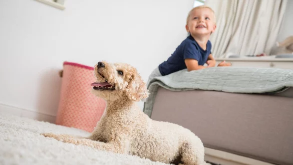 Ein Tierschutzhund kann auch für eine Familie mit Kindern eine gute Wahl sein - wenn man sich vorher ausreichend informiert. - © Christin Klose/dpa-tmn