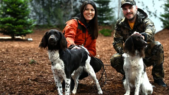 Die Präsentation von Jagdhunden spielt auf der großen Jagdmesse in Dortmund eine wichtige Rolle. (Archivbild) - © Federico Gambarini/dpa
