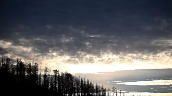 Das Wetter wird in NRW wärmer, bleibt aber wechselhaft. - © Federico Gambarini/dpa