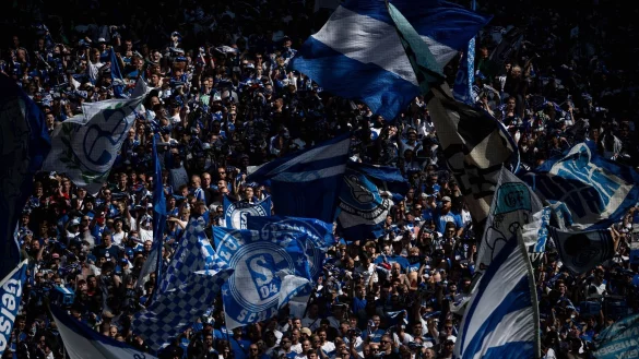 Binnen 72 Stunden haben sich über 4.000 Mitglieder 12.908 Anteile an der S04-Fördergenossenschaft gesichert. - © Fabian Strauch/dpa