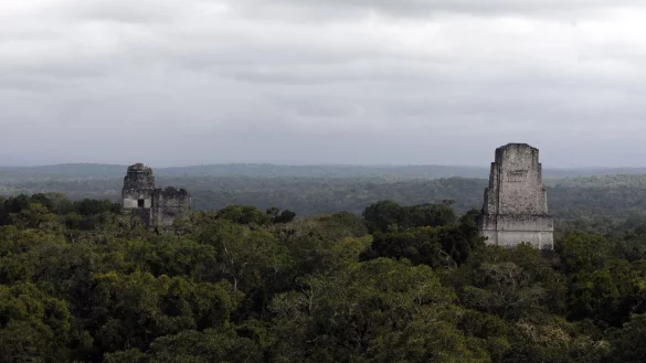 In der N&auml;he der Unesco-Weltkulturerbest&auml;tte Tikal wurde eine rund 2.900 Jahre alte Maya-St&auml;tte entdeckt. - &copy; Sandra Sebastian/EFE via epa/dpa