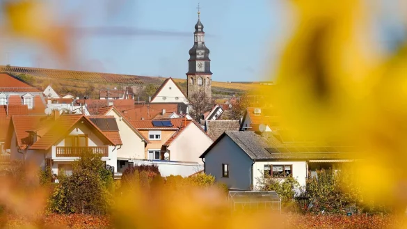 Der kleine Winzerort Kallstadt an der Weinstraße ist der Heimatort von Trumps Vorfahren. (Archivbild) - © Uwe Anspach/dpa/dpa-tmn